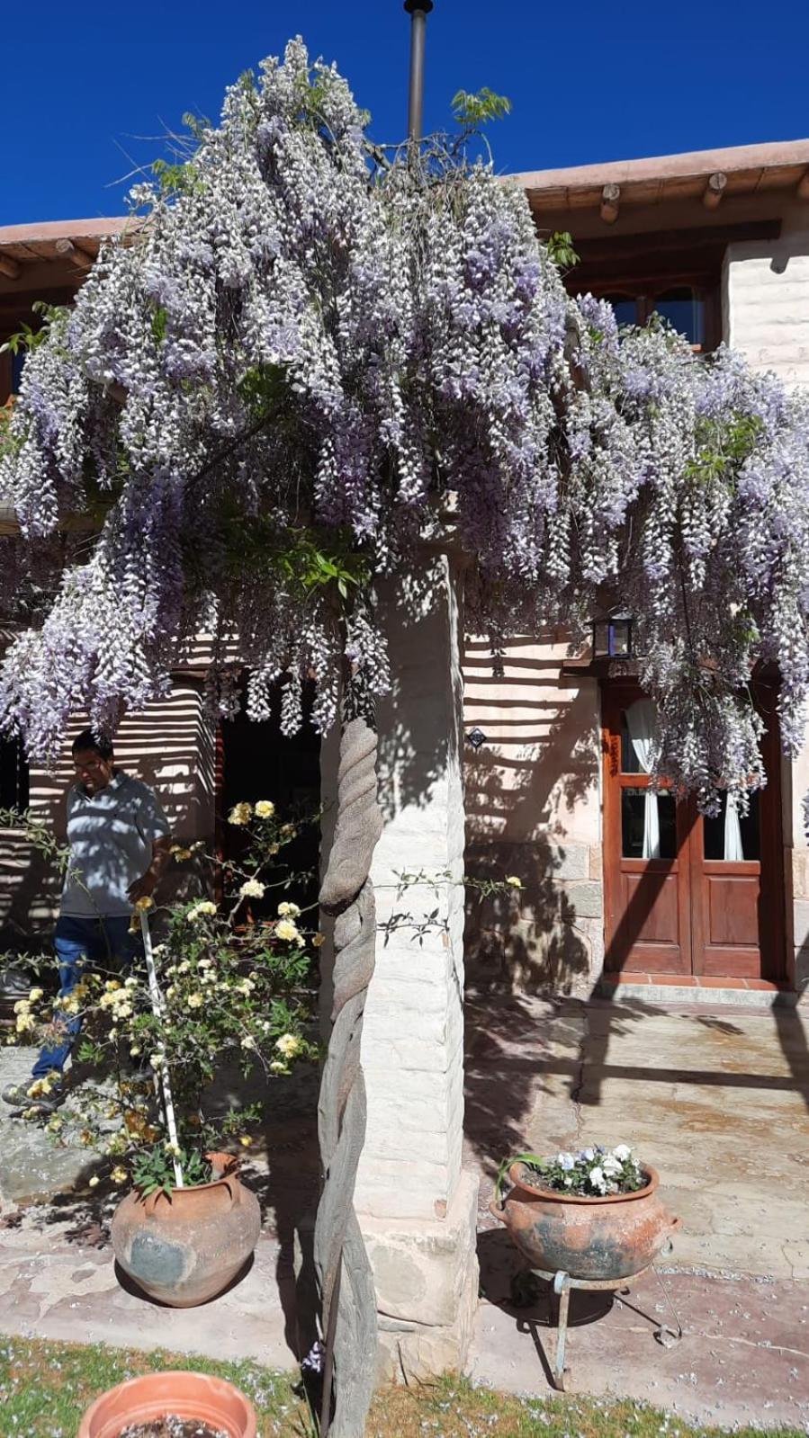 El Ensueno Villa Tilcara Exteriör bild